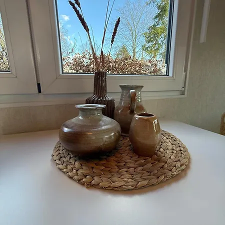 Σαλέ Nieuw Luxe In Bos Met Veel Privacy & Rust!