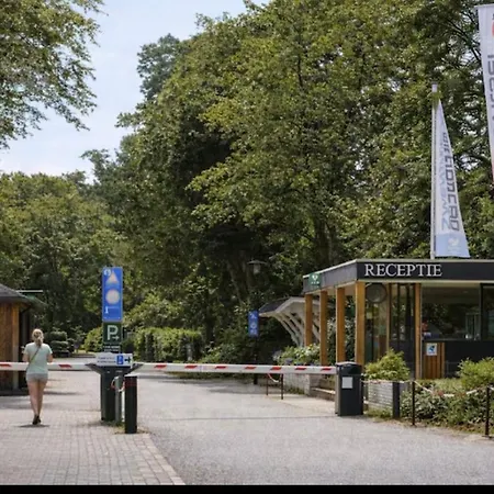 Σαλέ Nieuw Luxe In Bos Met Veel Privacy & Rust!