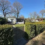 Nieuw Luxe In Bos Met Veel Privacy & Rust! Chalet *
