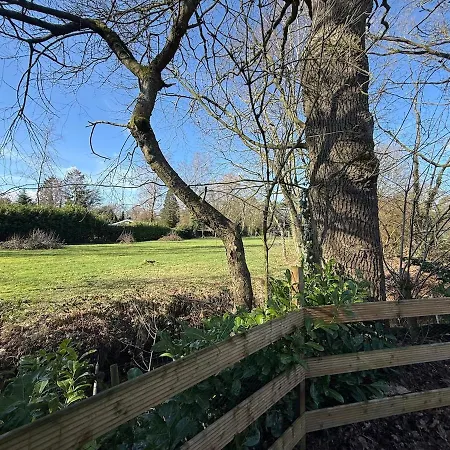Nieuw Luxe In Bos Met Veel Privacy & Rust! *